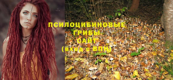 крисы Протвино